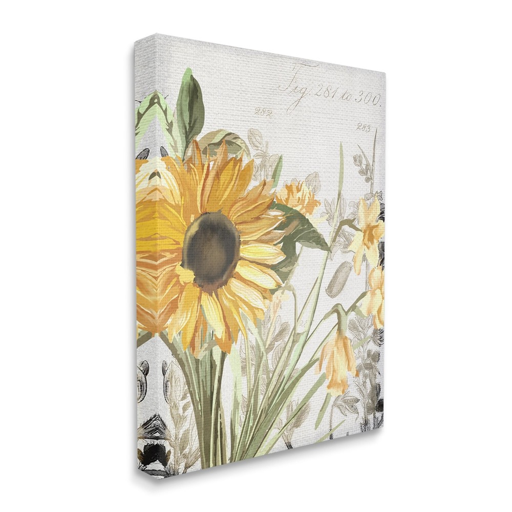 Stupell Soft Sunflower Floral over Vintage Plant