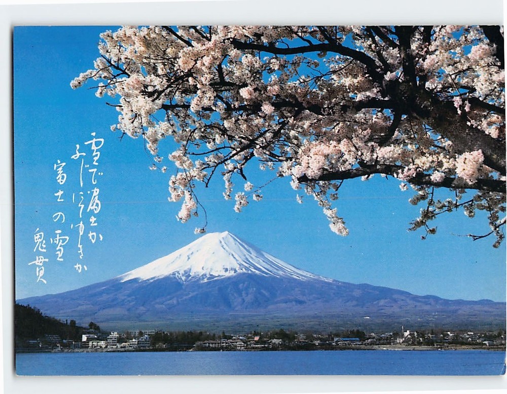Postcard View of Mt. Fuji & Cherry Blossoms Japan