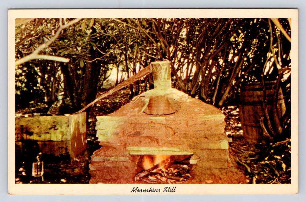 Vintage Postcard Moonshine Still Mountain Dew Kentucky