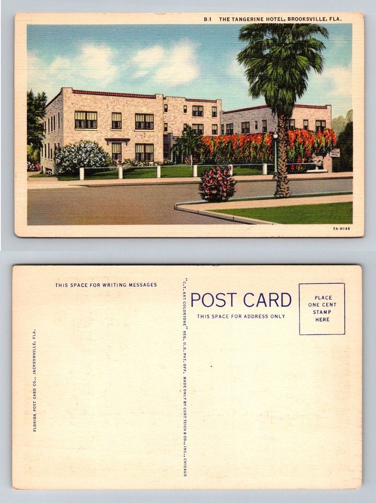 Brooksville FL-Florida Tangerine Hotel Stone Exterior Palm Tree Vintage Postcard