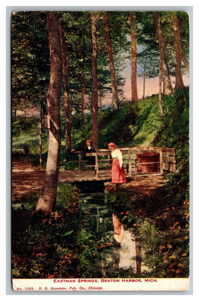 Benton Harbor Michigan MI Eastman Springs Landscape View Divided Back Postcard