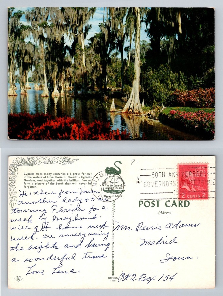 Cypress Gardens FL-Florida Lake Eloise Cypress Trees Reflection Vintage Postcard