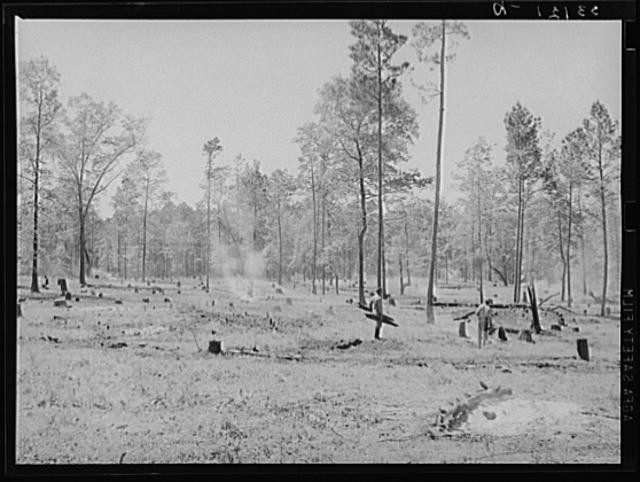 Marshall,Texas,Harrison County,Sabine Farms,Farm Security Administration,FSA,1