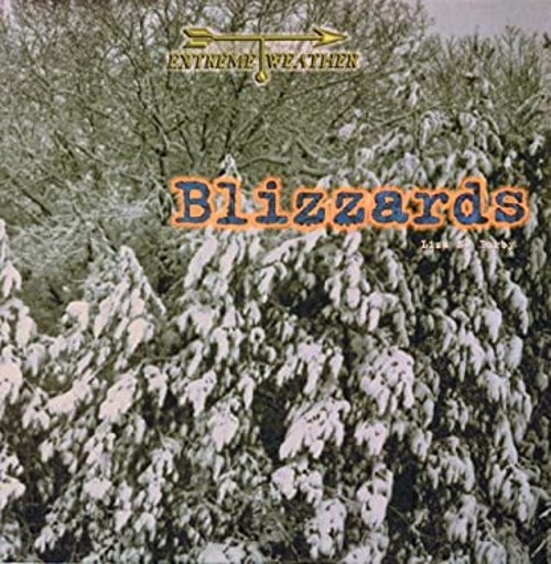 Blizzards Library Binding Liza N. BurbyFree US Delivery | ISBN:0823952916