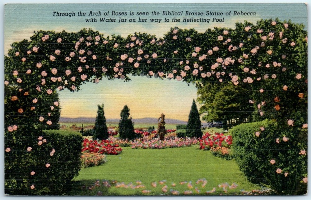 Postcard - The Hershey Rose Garden at Hershey, Pennsylvania
