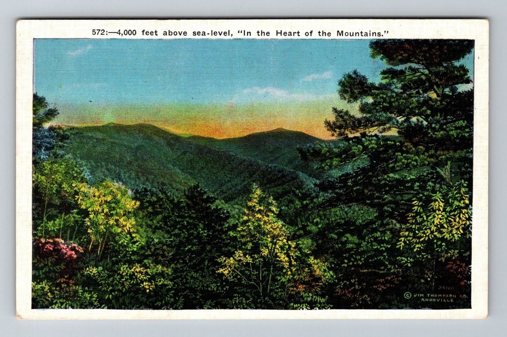 Asheville, NC-North Carolina, Blue Ridge Mountains Scenic Vista Vintage Postcard