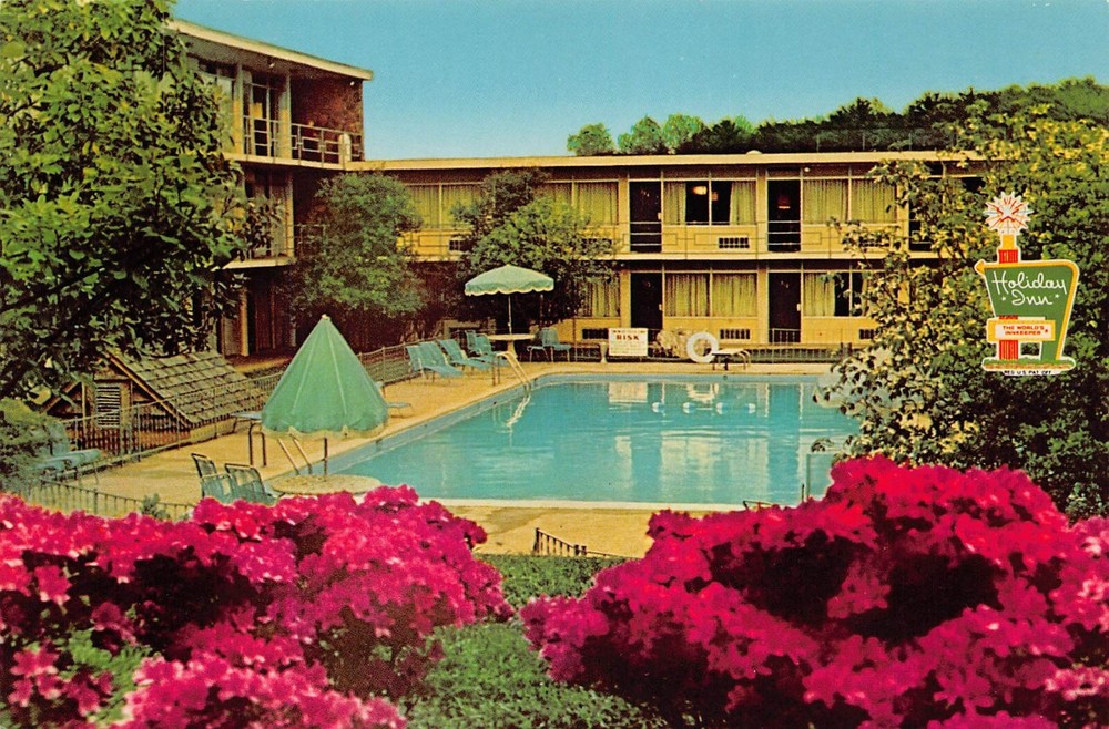 Vtg Postcard 6x4 Virginia VA Charlottesville Holiday Inn Roadside Motel 1980s K9