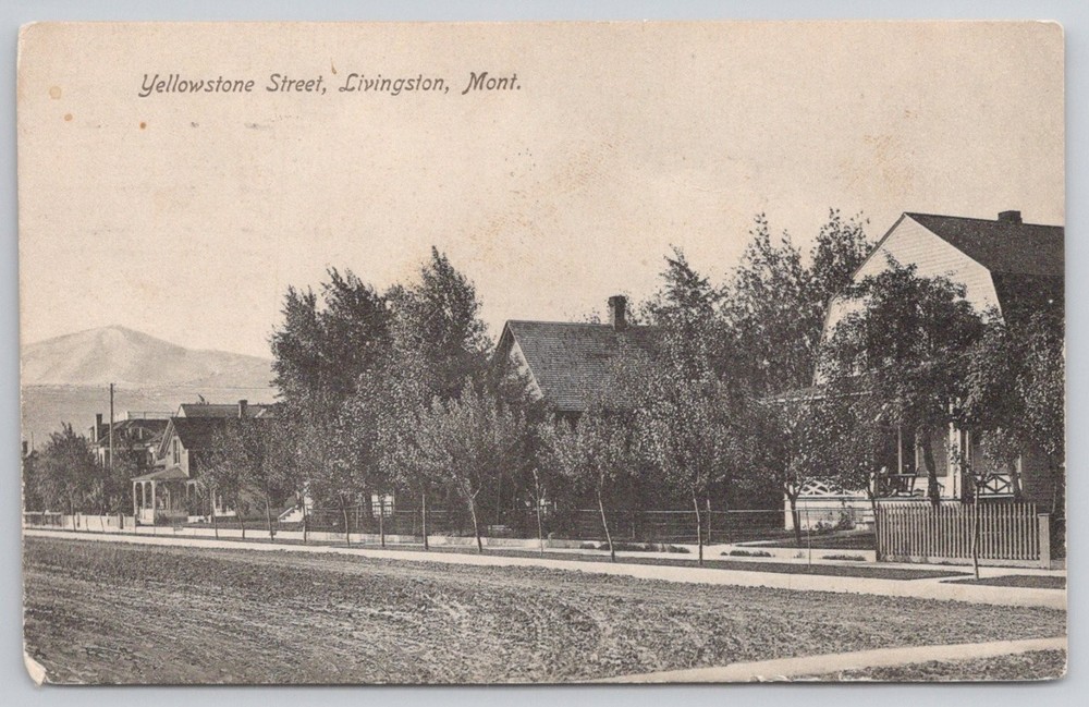 Livingston MT Yellowstone Street 1911 Montana Postcard Scheuber Drug Co.