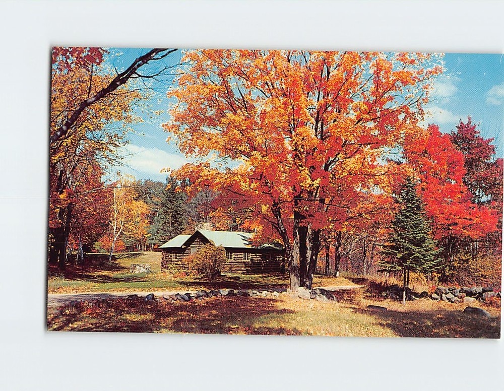 Postcard Log Cabin Autumn Nature Scene