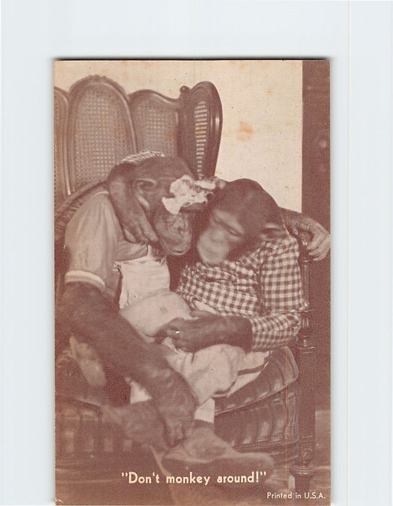 Postcard Family Chimpanzee Monkey Anthropomorphic Animal Comic