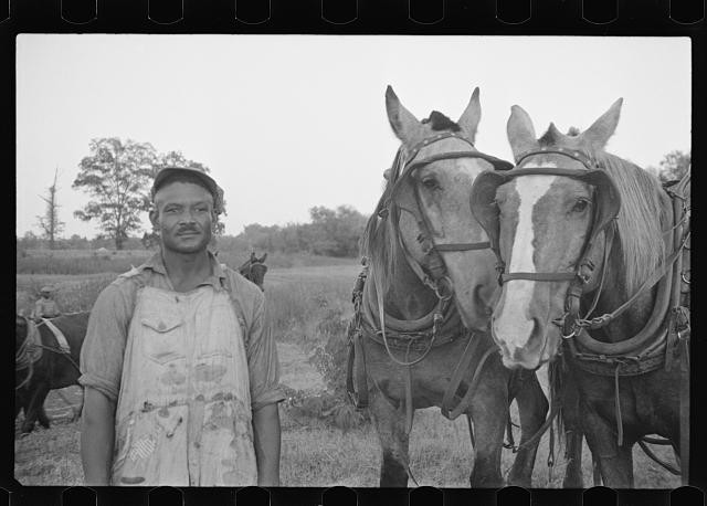 Photo:Farmer with Mules 1930s Rural Field Portrait
