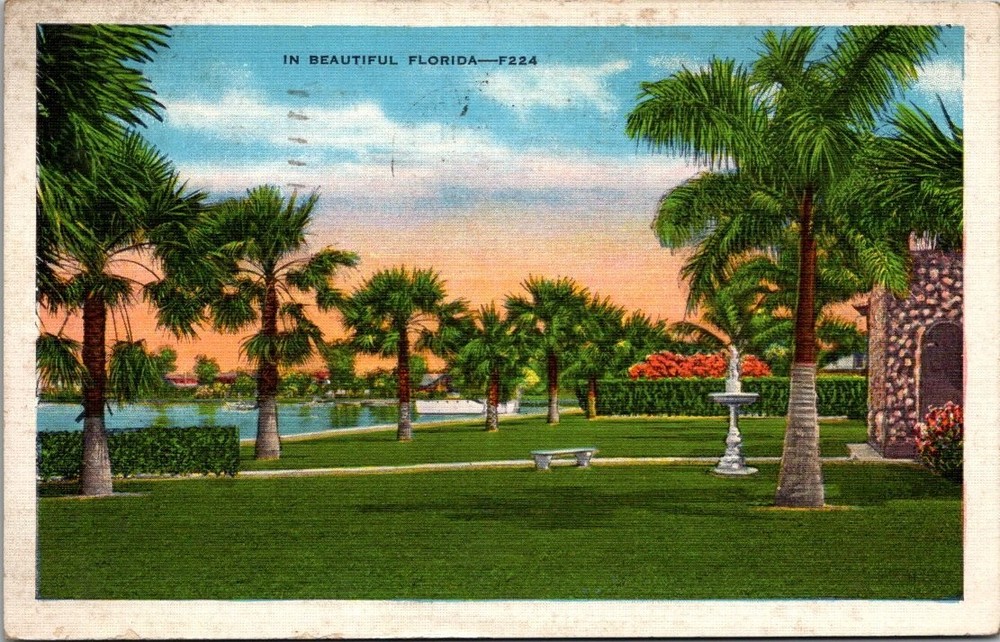 1934 St. Petersburg Florida Linen Postcard Palm Trees & Park F224