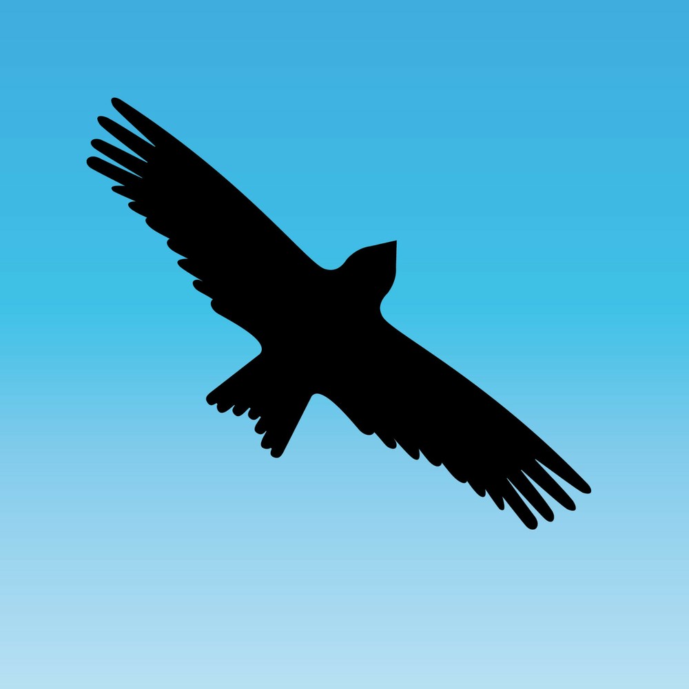 Black Milan Shock Bird Deterrent Window Sticker 9 13/16in Foil Decal