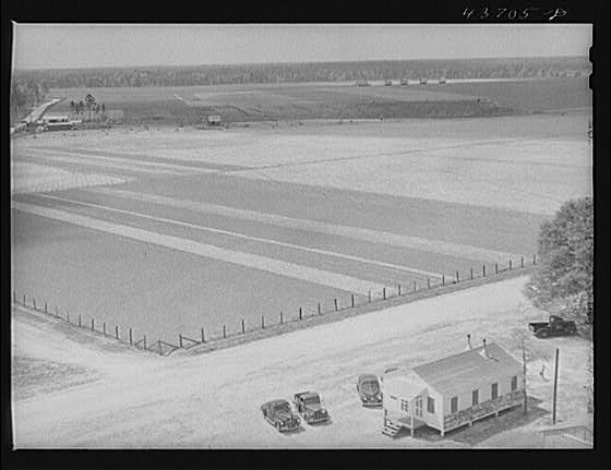 Hazlehurst Farms Inc,Georgia,GA,Farm Security Administration,April 1941,FSA,13