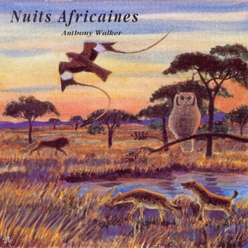 African Dusk Vibes by Walker / Sounds Of N – New CD