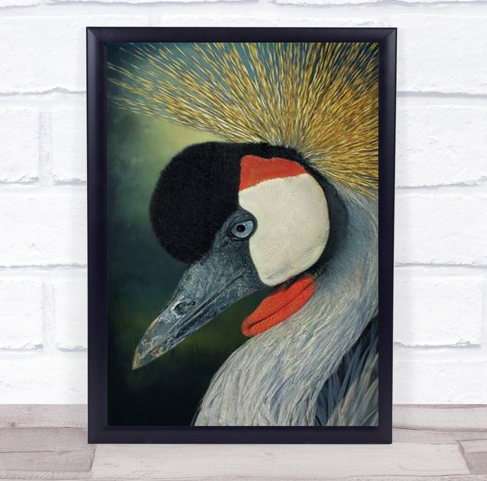 Beauty And Modesty Black White Red Bird Messy Hair Wall Art Print