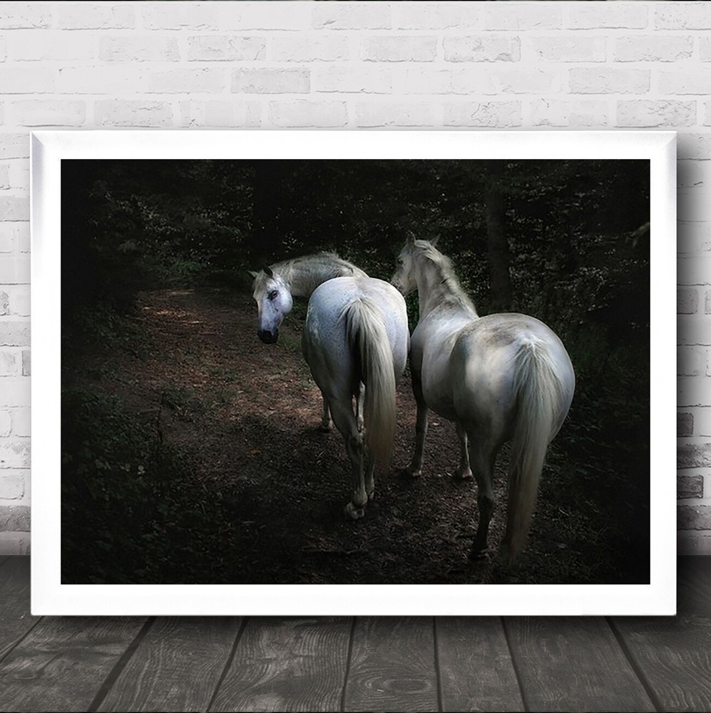 Summer Shadow Reflection Horse Animal Rheinland Pfalz Horses Germany Art Print