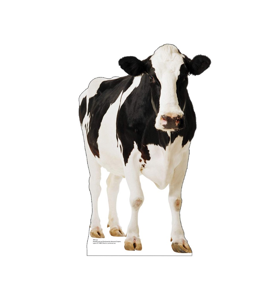 Cow Life Size Cardboard Cutout Standup