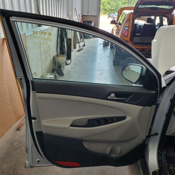 TUCSON    2018 Front Door Trim Panel 1011616