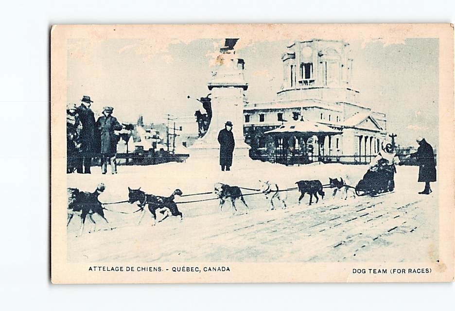 Postcard Dog Team Scene in Quebec City Canada