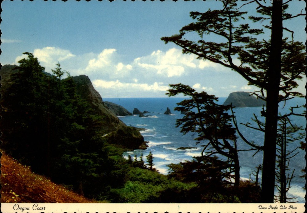 Oregon near Cape Mears aerial view coastline ~ unused postcard sku685