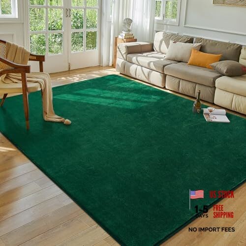 5x7 Living Room Rug, Washable Area Rugs for Bedroom, Soft 5x7 feet Green