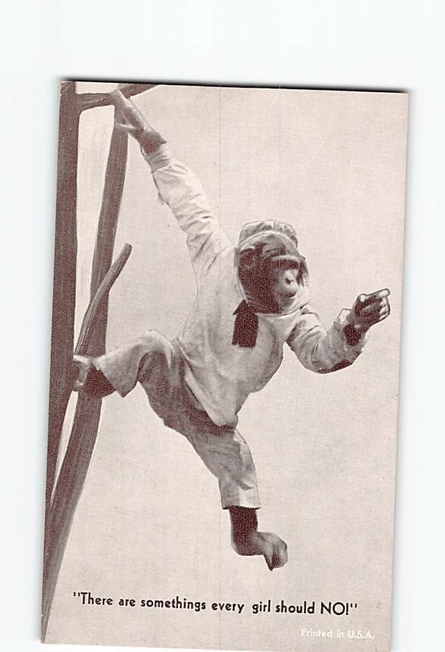 Postcard Sailor Chimpanzee Monkey Anthropomorphic Animal Comic