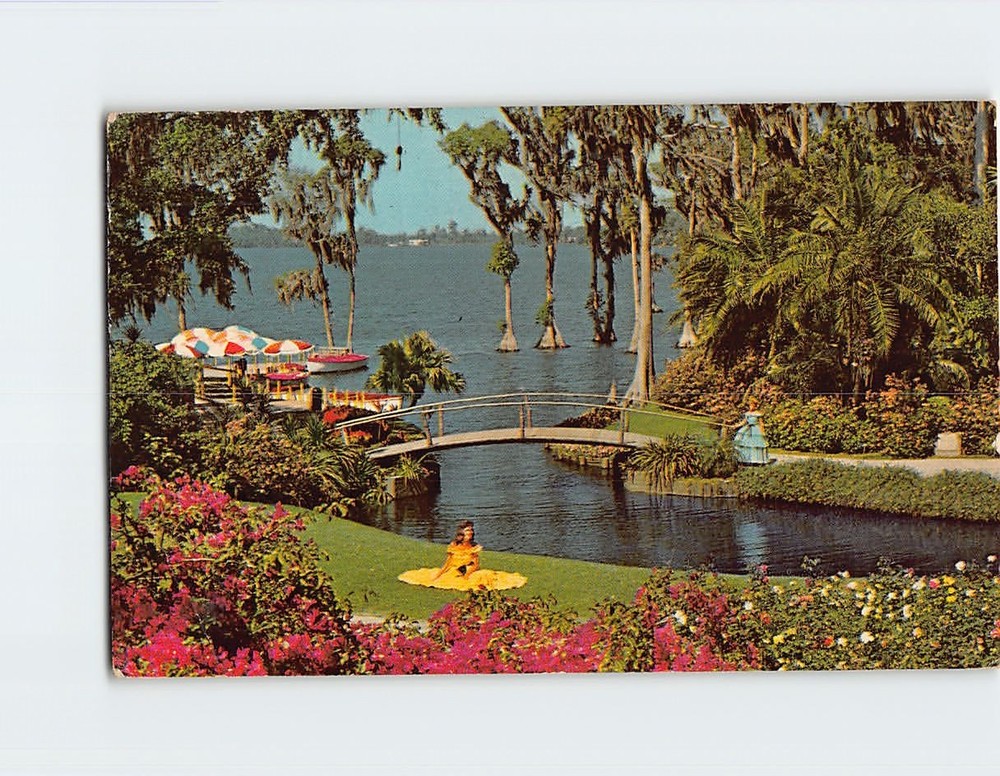 Postcard Roses & Bougainvillea Cypress Gardens Florida USA