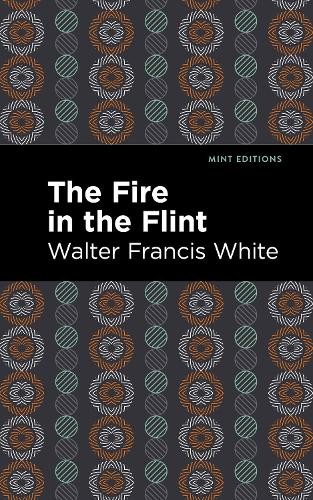 Walter Francis White The Fire in the Flint (Hardback) Mint EditionsAnother great item from Rarewaves USA | Free delivery!