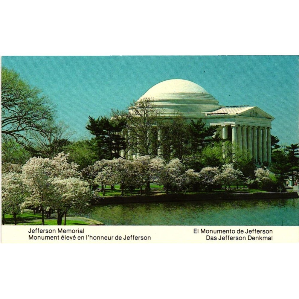 Vintage Thomas Jefferson Memorial Postcard Washington DC Cherry Blossoms Capsco