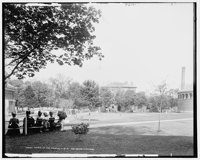 Ann Arbor Michigan University of Michigan Campus 1890s Panoramic View