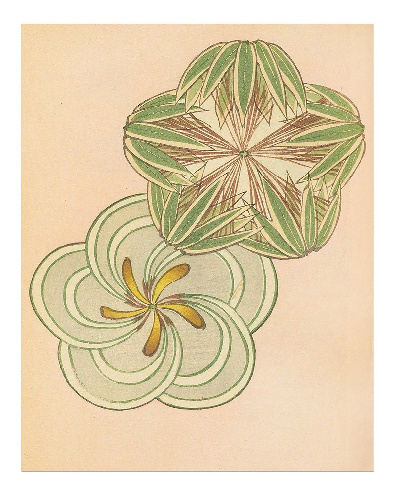 Elegant Floral Design Wall Art Poster - Nature-Inspired Decor