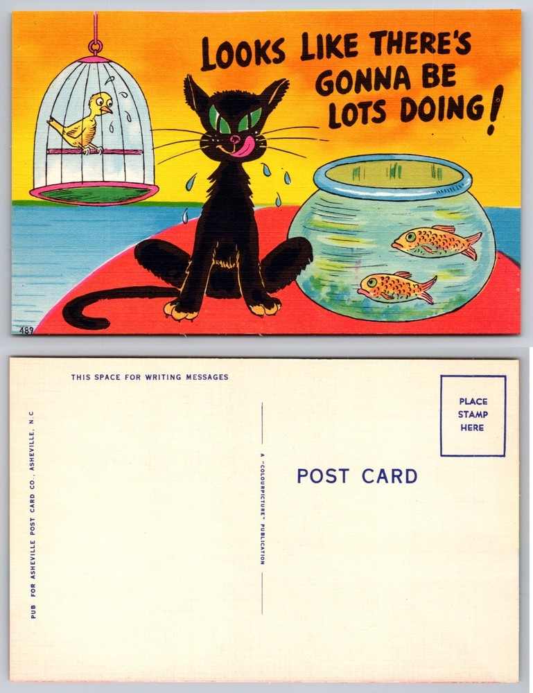 Black Cat Goldfish Bird Cartoon Humor Postcard
