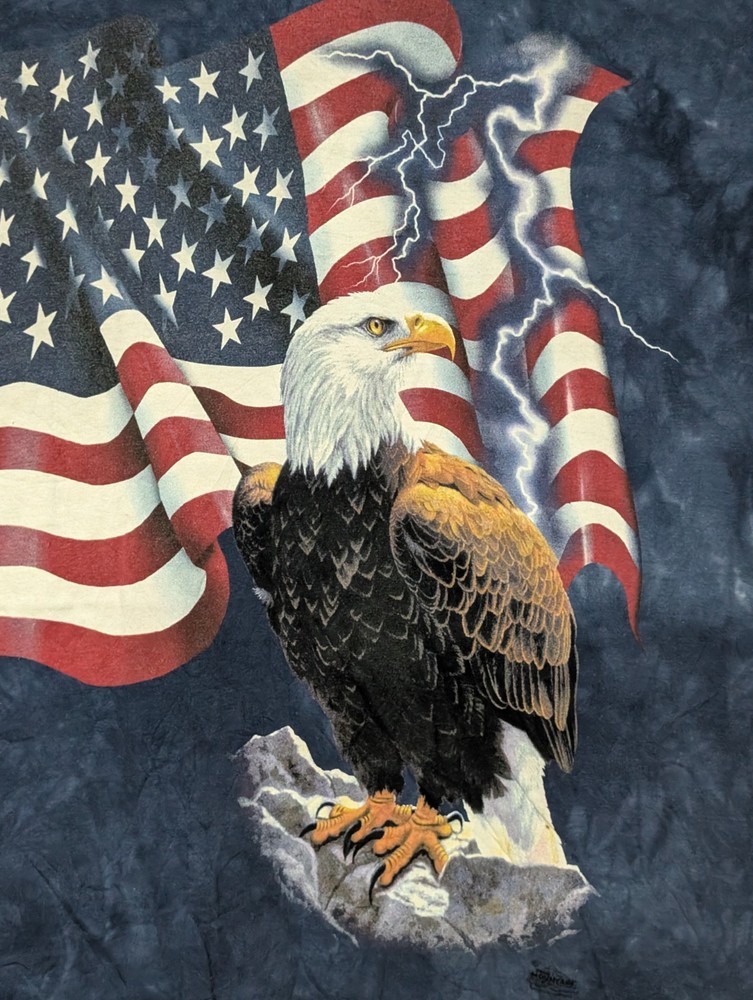 The Mountain Mens T-shirt Vintage 2001 Blue Bald Eagle American Flag Collar 6460