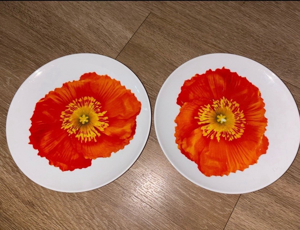Isaac Mizrahi poppies floral salad plates set of 2 Easter spring