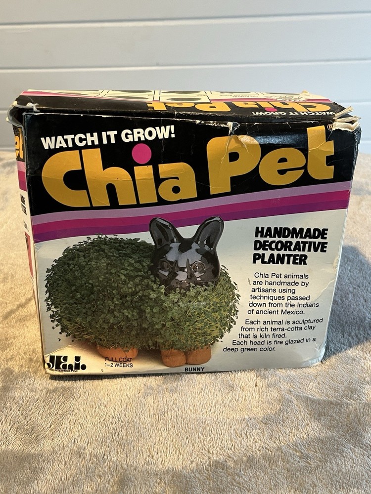 Vintage Chia Pet Bunny Rabbit Decorative Planter 1983 Box In Rough Shape