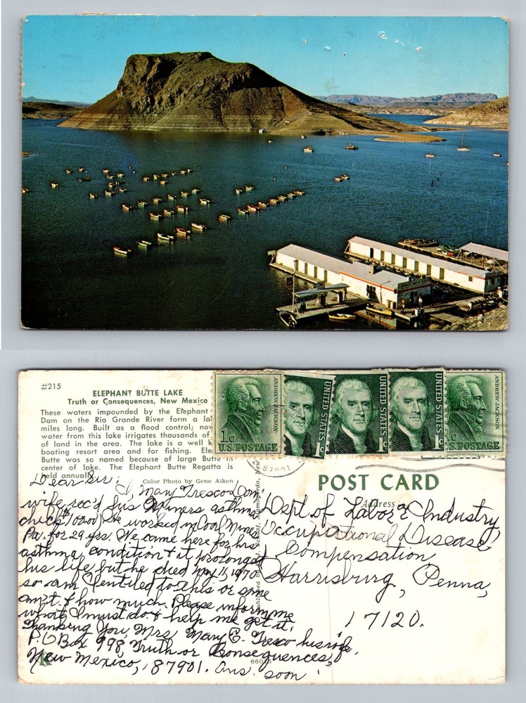 Truth or Consequences, NM-New Mexico Elephant Butte Lake Marina Vintage Postcard