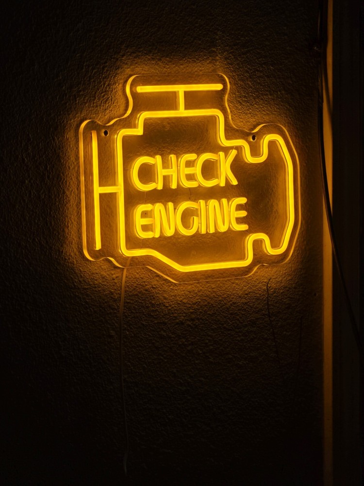 CHECK ENGINE LIGHT DISPLAY LIGHT