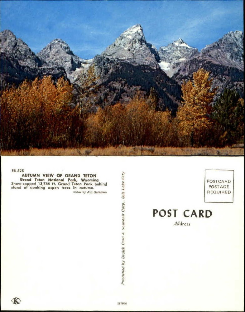 Grand Teton National Park peak autumn scene WY chrome unused vintage postcard