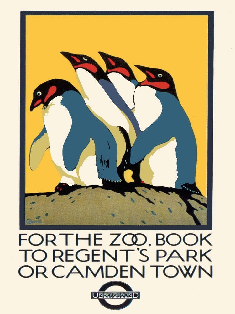 7917.Decoration Poster.Home Room wall interior art design.Camden Zoo pinguins