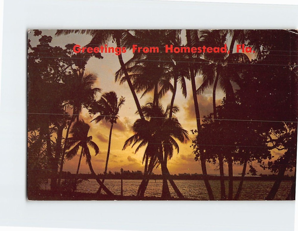 Postcard Greetings From Homestead Florida USA