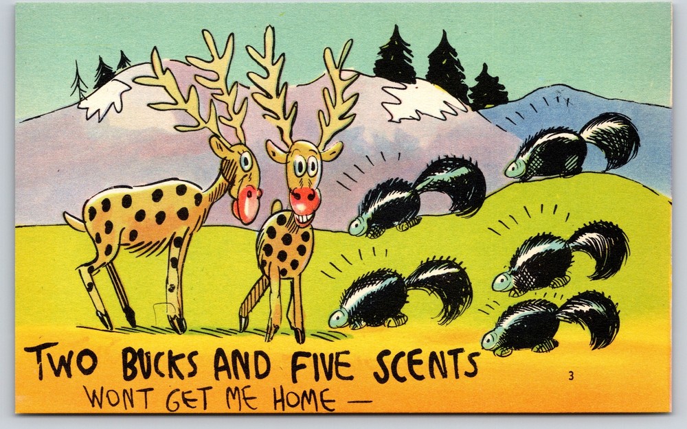 Comic~Deer And Skunks~2 Bucks & Five Scents Wont Get Me Home~Vintage Postcard