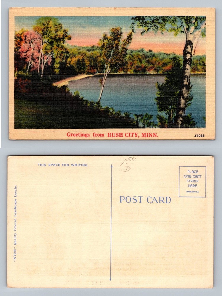 Rush City, MN-Minnesota, Lake Scene Colorful Shoreline View PC Vintage Postcard