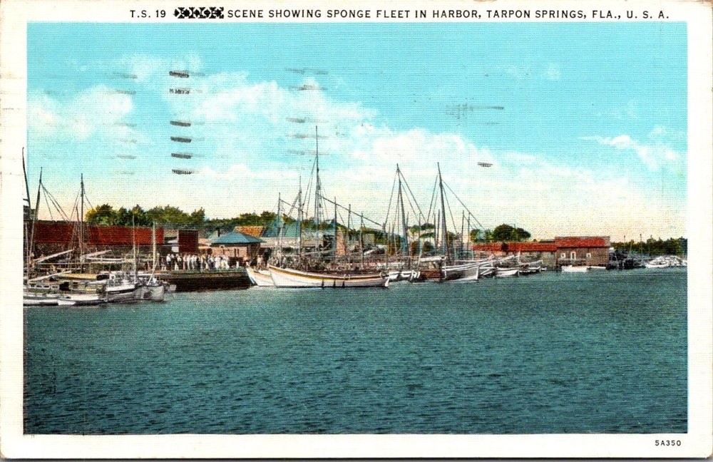 Tarpon Springs FL Sponge Fleet Harbor 1958 Linen Postcard Florida History