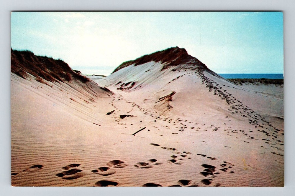 Cape Cod MA-Massachusetts, Sand Dunes, Scenic View, Vintage Postcard
