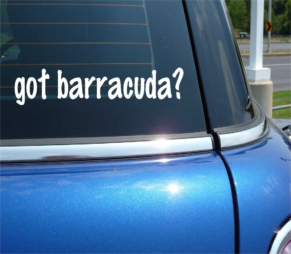 Got Barracuda Funny Car Decal Bumper Sticker Vinyl Window Joke