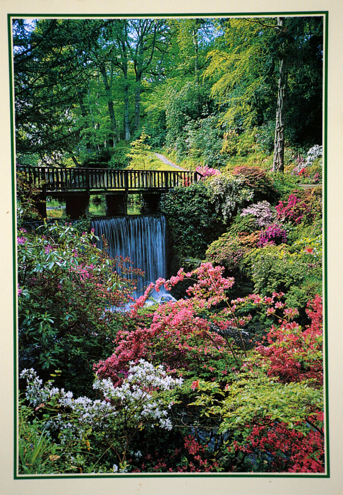 Postcard Waterfall in the Dell Bodnant Garden Tal-y-Cafn Colwyn Bay Clwyd Wales