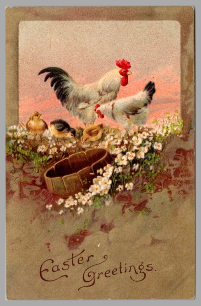 Easter Greetings Rooster Hen Chicks Flowers c1911 DB Embossed Antique Postcard