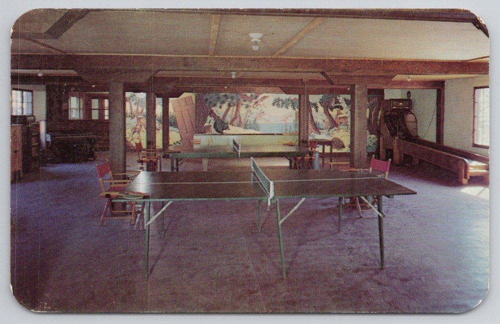 Higby Club Big Moose NY Game Room DEXTONE Postcard 1960s Adirondacks Murals