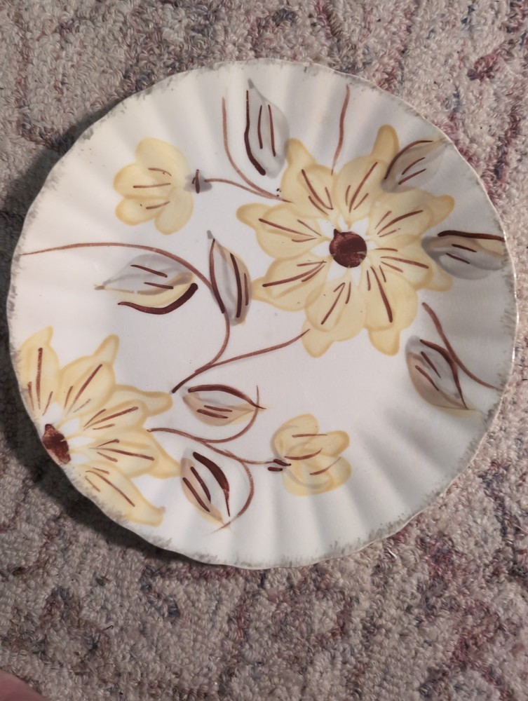Vintage Southern Pottery Blue Ridge Scalloped  Star Gazer Dinner Plate